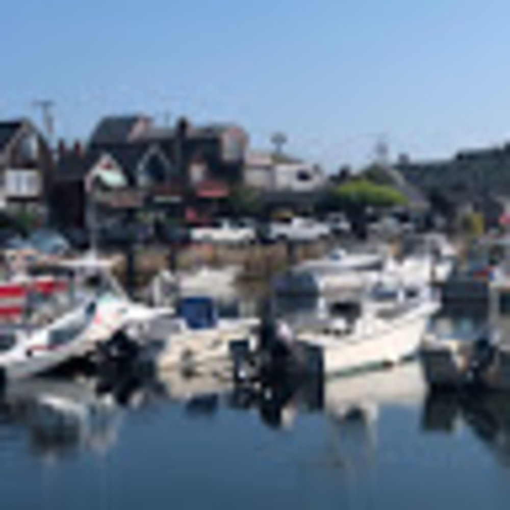 Meet your Posher, Tyler